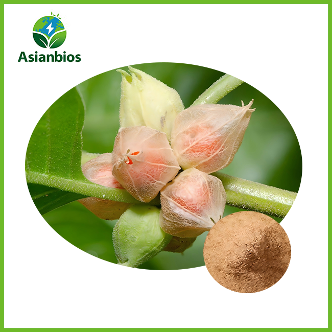 pure ashwagandha extract